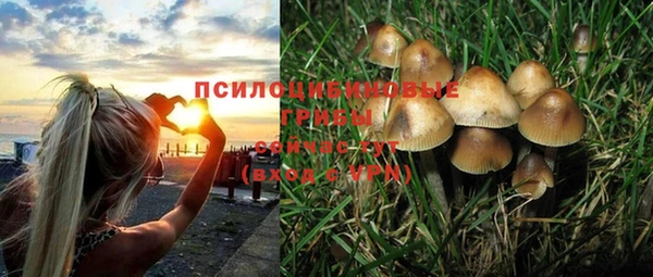 Альфа ПВП Надым