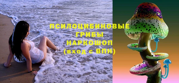 Альфа ПВП Надым