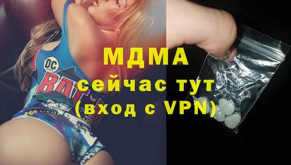 прущие грибы Михайловск